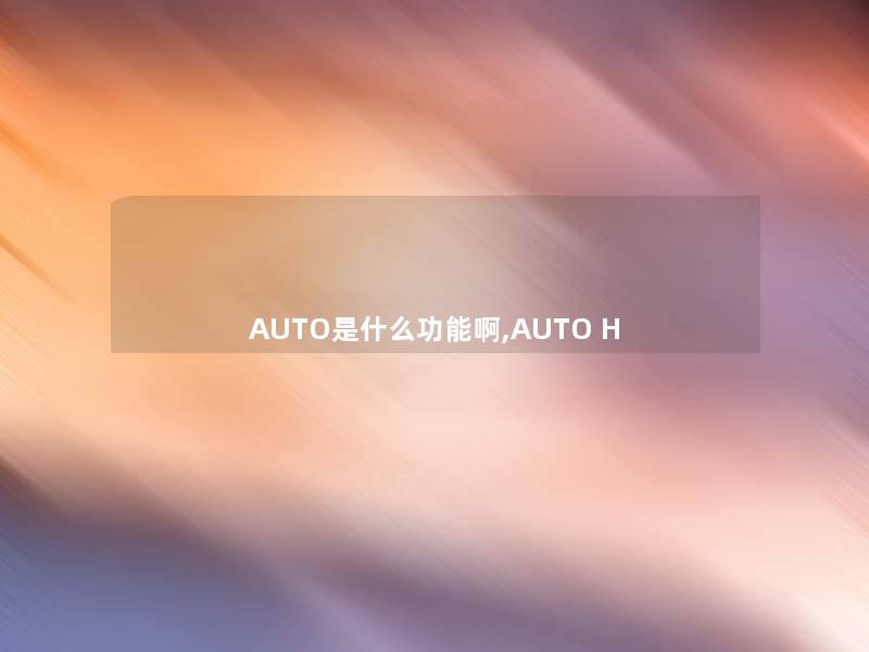 AUTO是什么功能啊,AUTO H