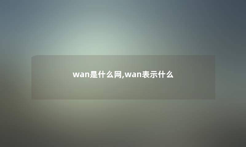 wan是什么网,wan表示什么