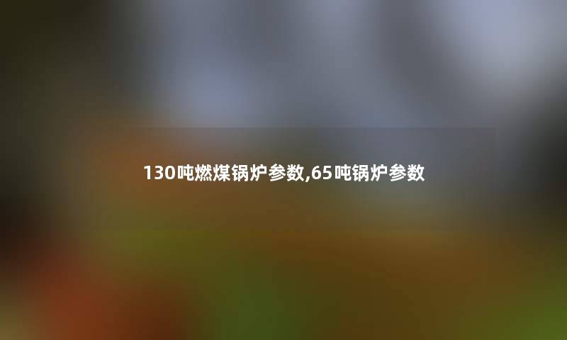 130吨燃煤锅炉参数,65吨锅炉参数