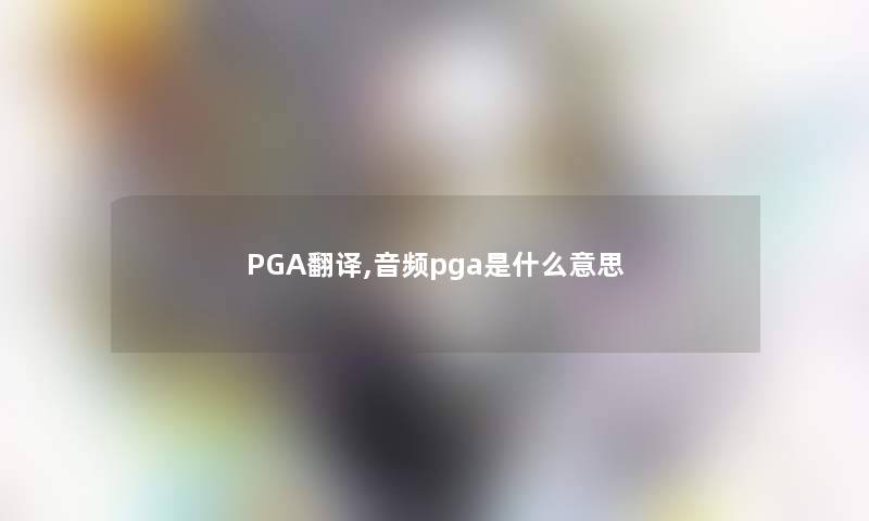 PGA翻译,音频pga是什么意思