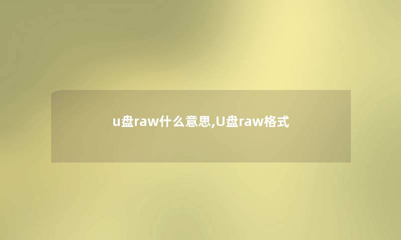 u盘raw什么意思,U盘raw格式