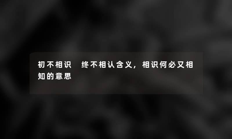 初不相识 终不相认含义,相识何必又相知的意思