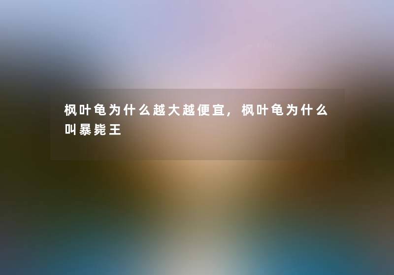 枫叶龟为什么越大越便宜,枫叶龟为什么叫暴毙王