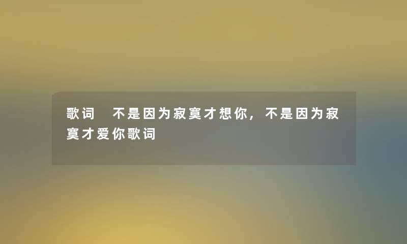 歌词 不是因为寂寞才想你,不是因为寂寞才爱你歌词