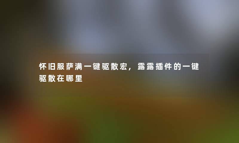 怀旧服萨满一键驱散宏,露露插件的一键驱散在哪里