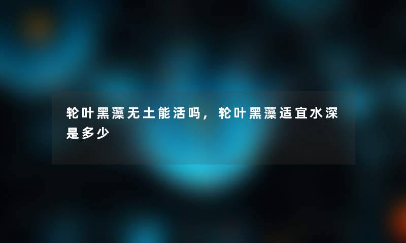 轮叶黑藻无土能活吗,轮叶黑藻适宜水深是多少