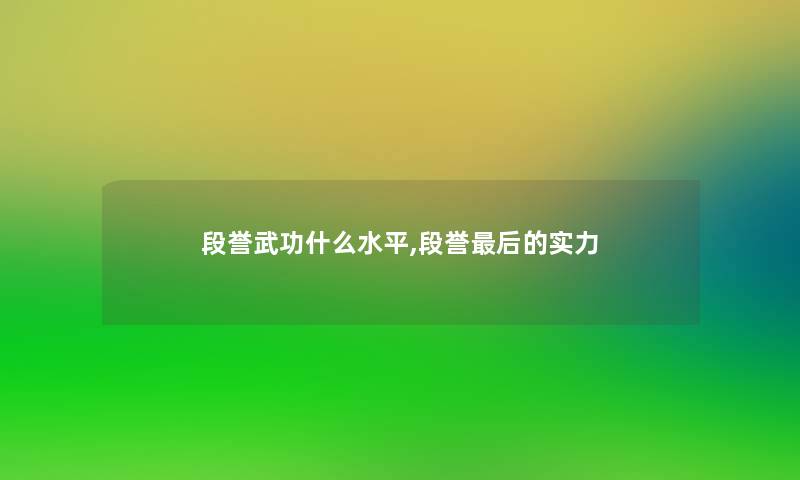 段誉武功什么水平,段誉这里要说的实力