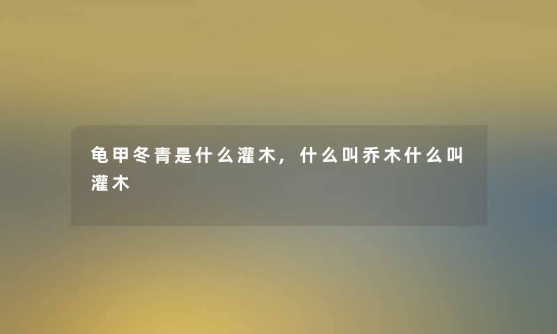 龟甲冬青是什么灌木,什么叫乔木什么叫灌木