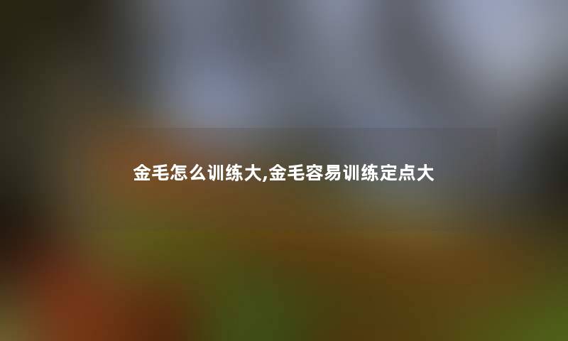 金毛怎么训练大,金毛容易训练定点大