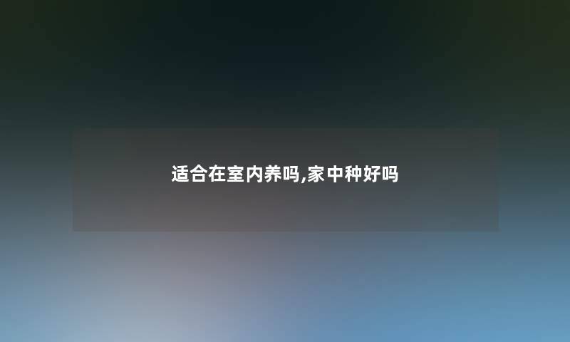 适合在室内养吗,家中种好吗