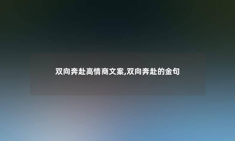 双向奔赴高情商文案,双向奔赴的金句