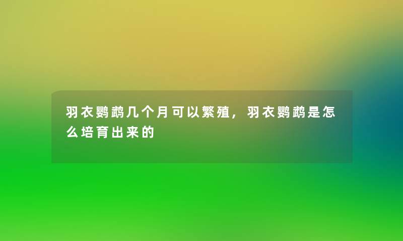 羽衣鹦鹉几个月可以繁殖,羽衣鹦鹉是怎么培育出来的