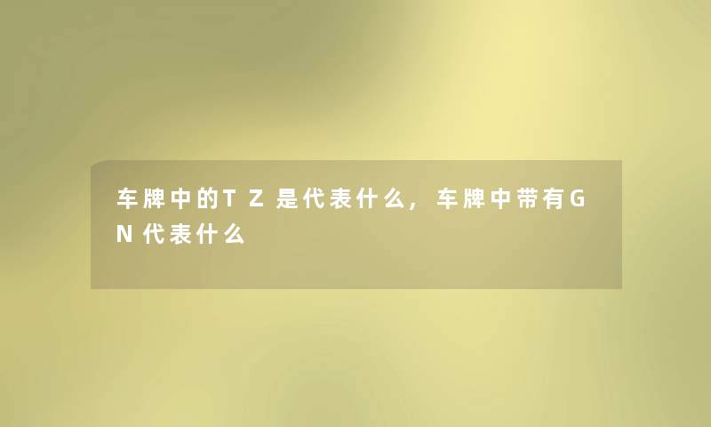 车牌中的TZ是代表什么,车牌中带有GN代表什么