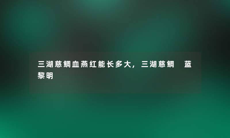 三湖慈鲷血燕红能长多大,三湖慈鲷 蓝黎明