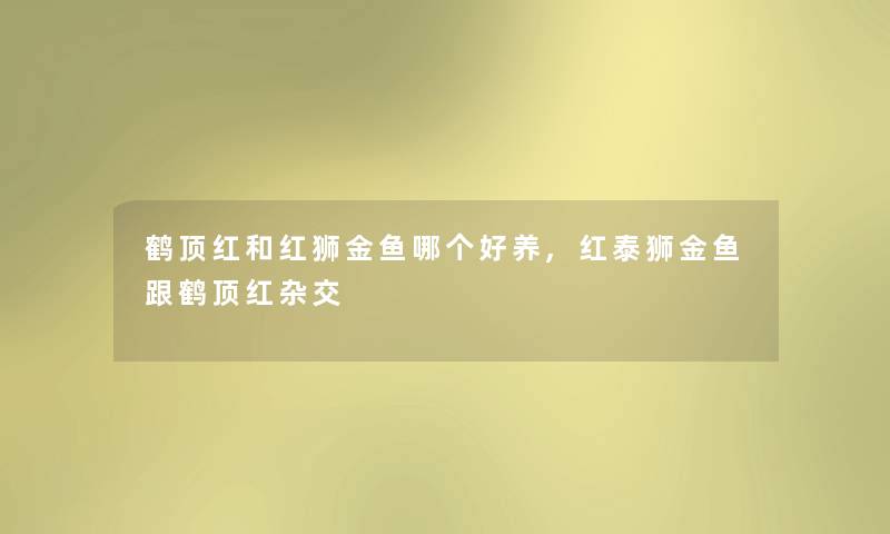 鹤顶红和红狮金鱼哪个好养,红泰狮金鱼跟鹤顶红杂交