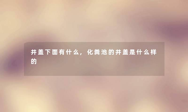 井盖下面有什么,化粪池的井盖是什么样的