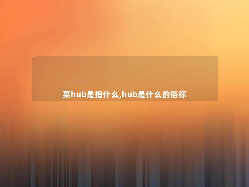 某hub是指什么,hub是什么的俗称