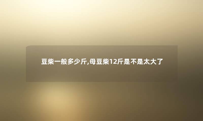 豆柴一般多少斤,母豆柴12斤是不是太大了