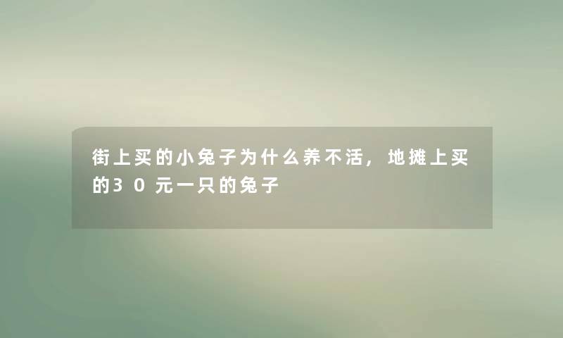 街上买的小兔子为什么养不活,地摊上买的30元一只的兔子