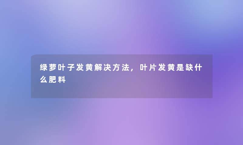 绿萝叶子发黄解决方法,叶片发黄是缺什么肥料