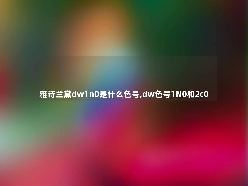 雅诗兰黛dw1n0是什么色号,dw色号1N0和2c0