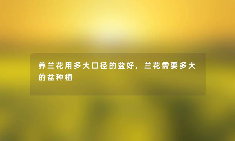 养兰花用多大口径的盆好,兰花需要多大的盆种植