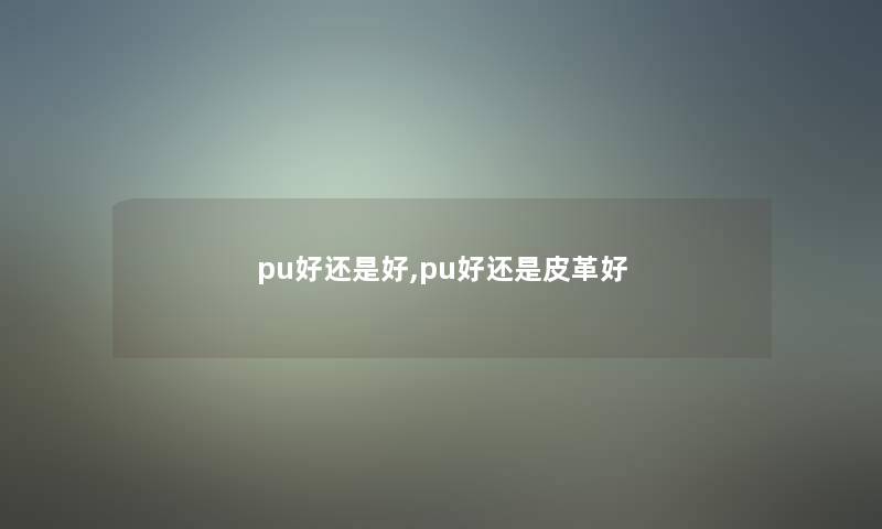 pu好还是好,pu好还是皮革好