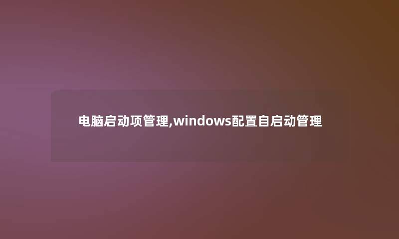 电脑启动项管理,windows配置自启动管理