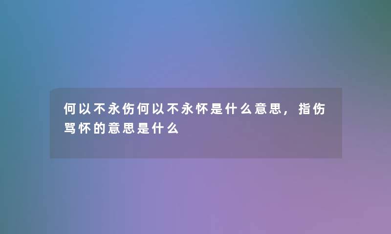 何以不永伤何以不永怀是什么意思,指伤骂怀的意思是什么