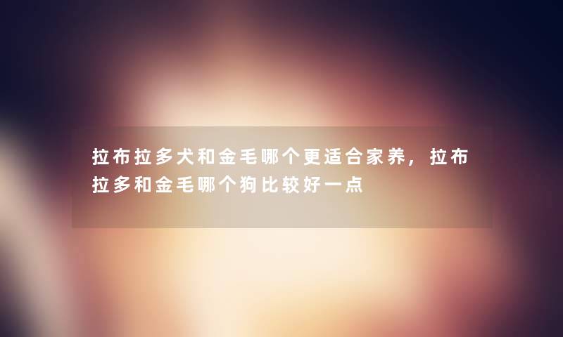 拉布拉多犬和金毛哪个更适合家养,拉布拉多和金毛哪个狗比较好一点