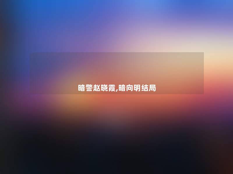 暗警赵晓霞,暗向明结局