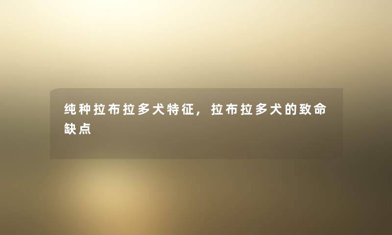 纯种拉布拉多犬特征,拉布拉多犬的致命缺点