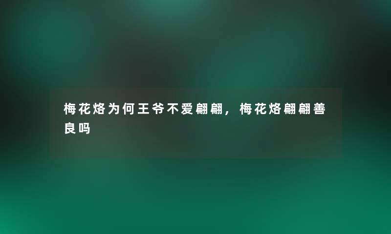 梅花烙为何王爷不爱翩翩,梅花烙翩翩善良吗