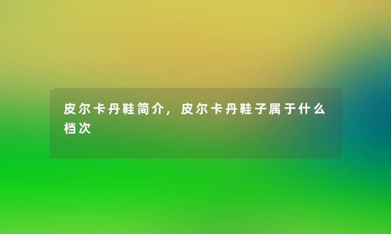 皮尔卡丹鞋简介,皮尔卡丹鞋子属于什么档次