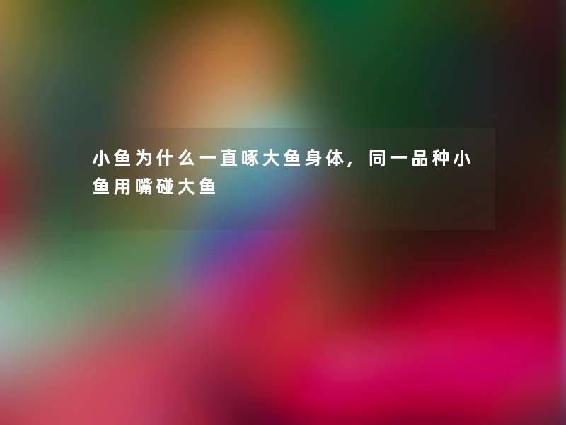 小鱼为什么一直啄大鱼身体,同一品种小鱼用嘴碰大鱼