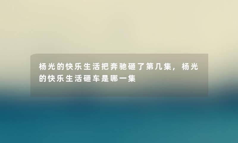 杨光的快乐生活把奔驰砸了第几集,杨光的快乐生活砸车是哪一集