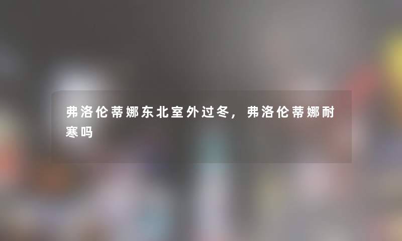 弗洛伦蒂娜东北室外过冬,弗洛伦蒂娜耐寒吗