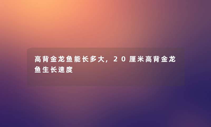 高背金龙鱼能长多大,20厘米高背金龙鱼生长速度